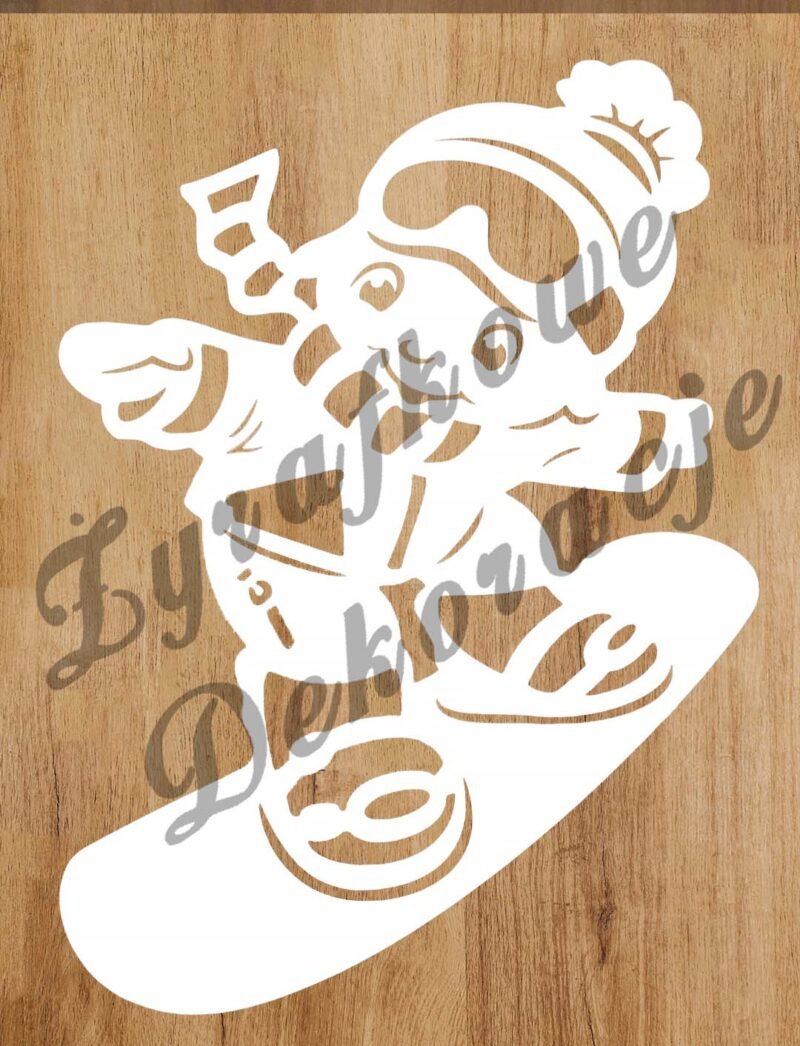 Snowboardzista