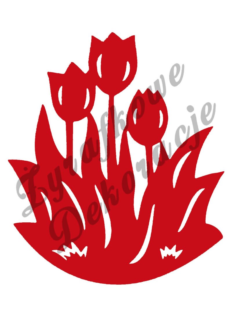 Tulipaniki czerwony